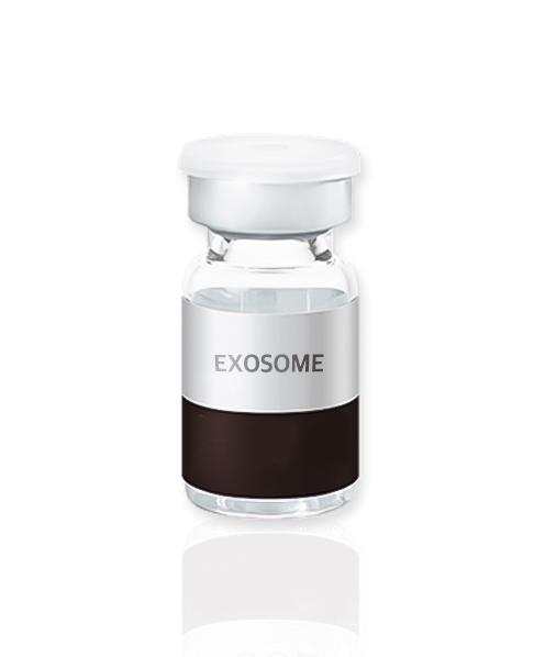 exosome